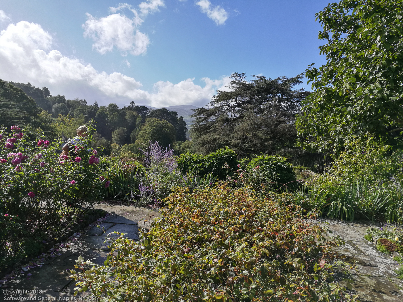 slideshow image