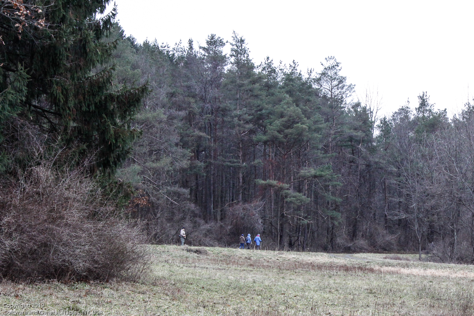 slideshow image