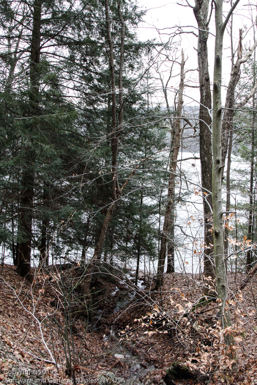 slideshow image
