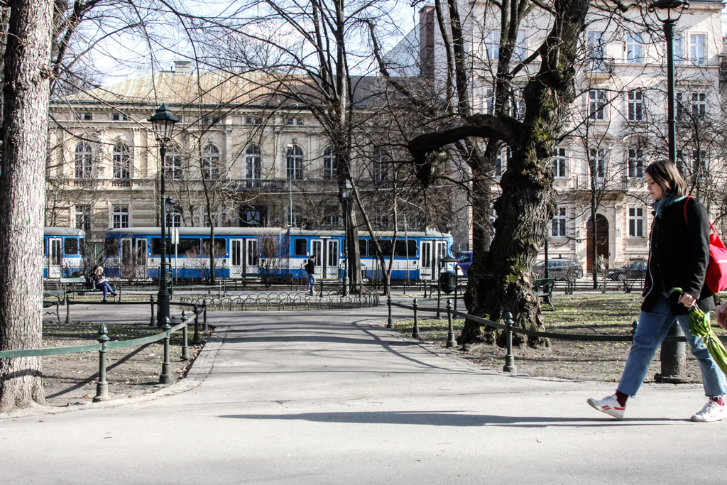 slideshow image