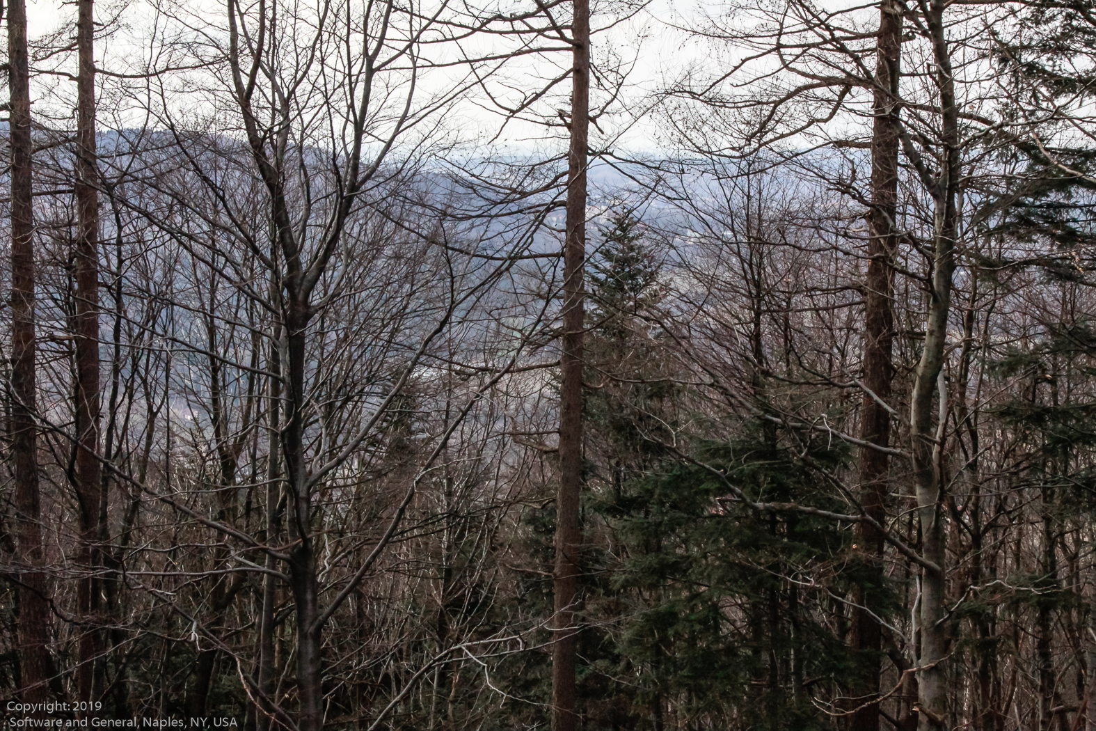 slideshow image