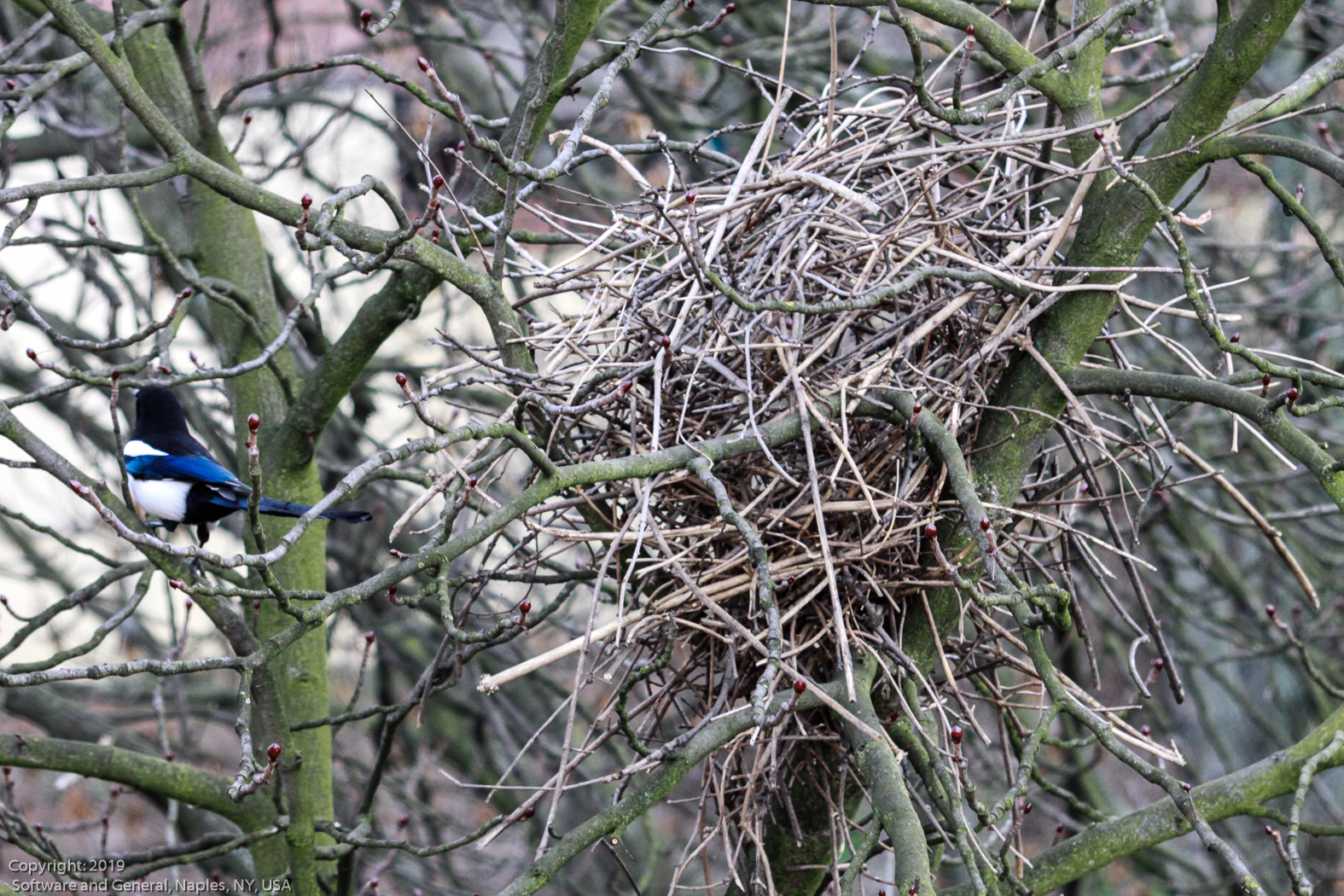 slideshow image