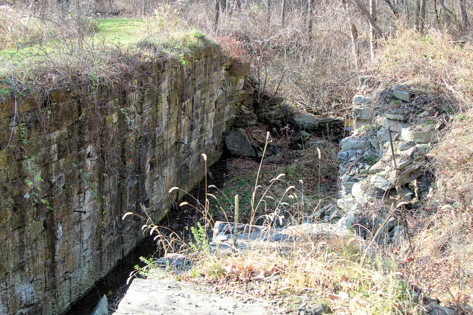 slideshow image