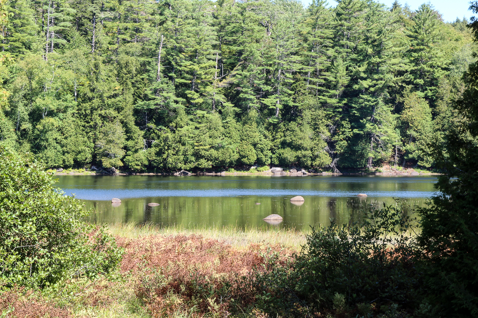 slideshow image