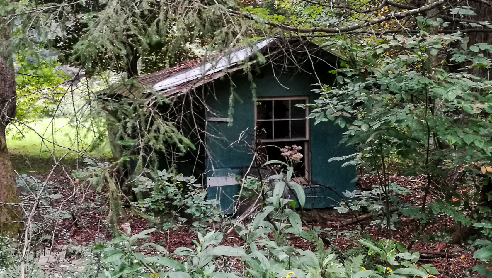 slideshow image