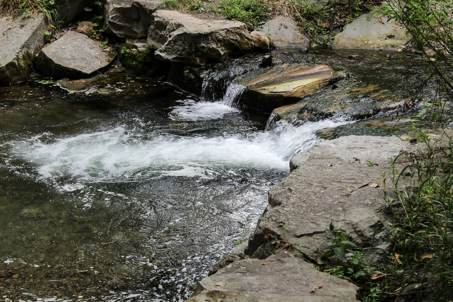 slideshow image
