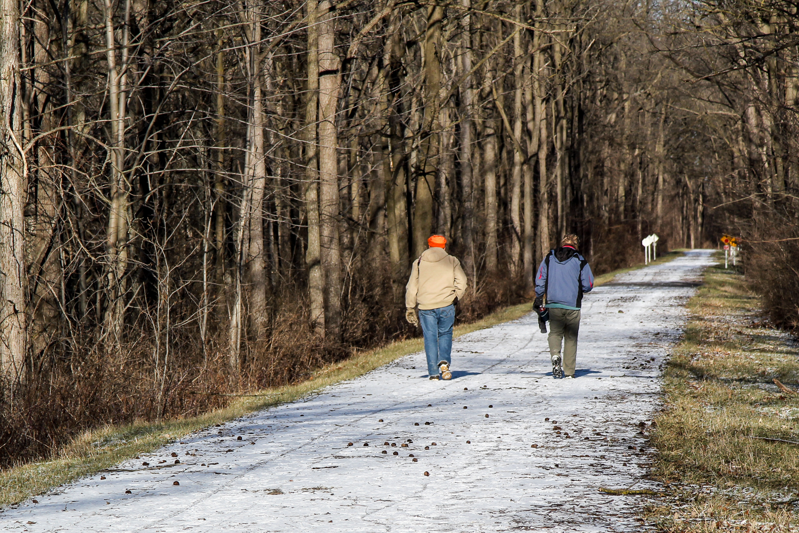 slideshow image