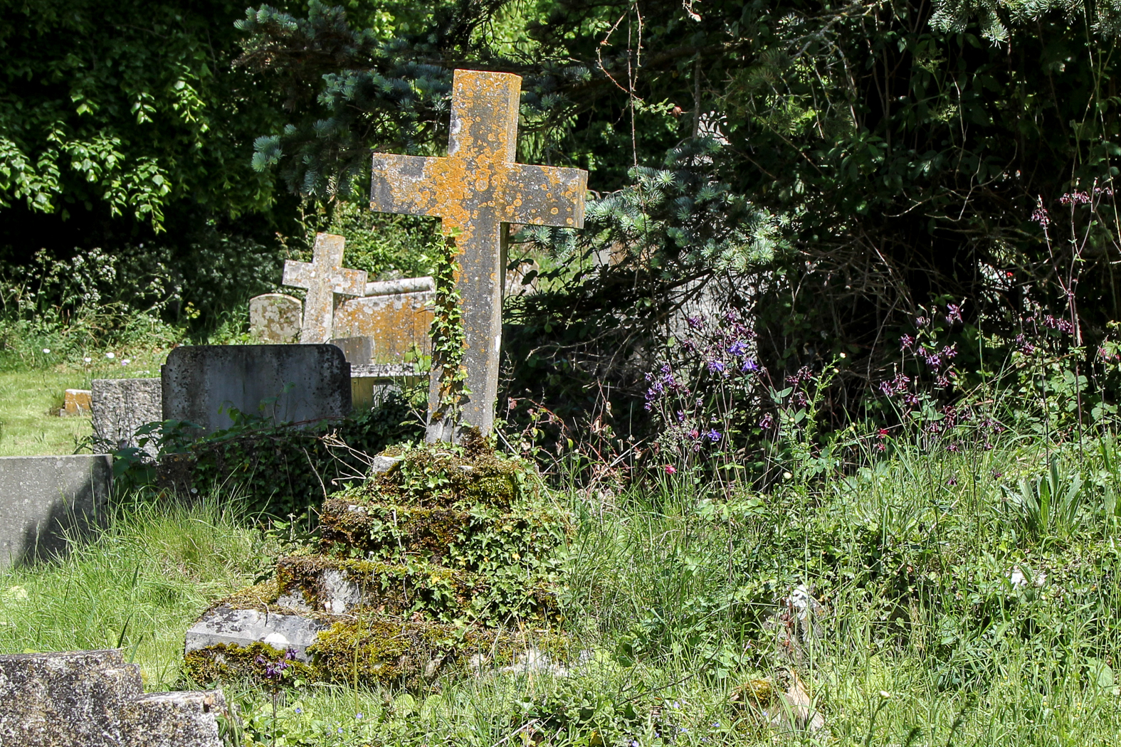 slideshow image