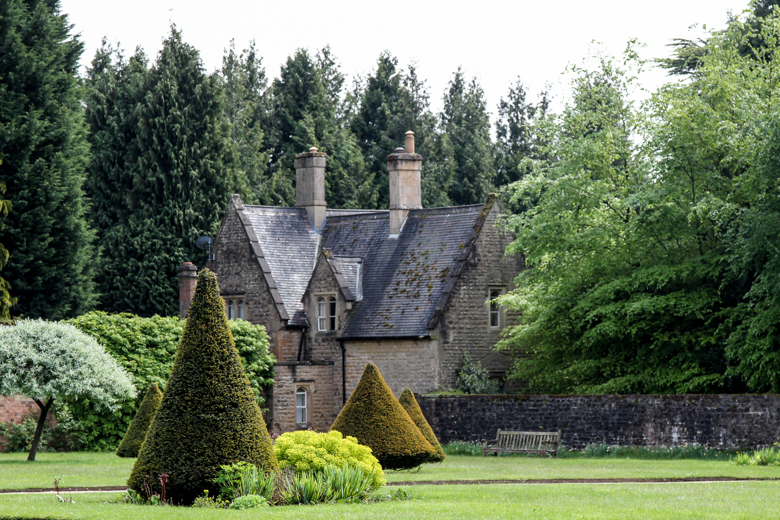 slideshow image