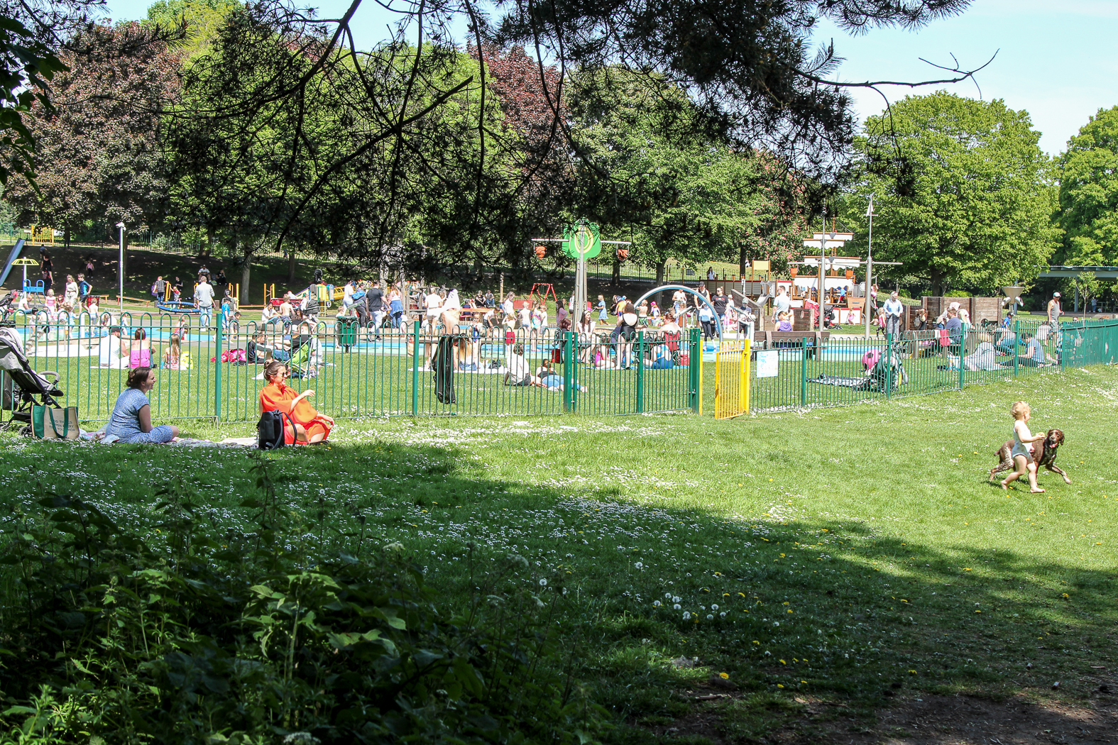slideshow image