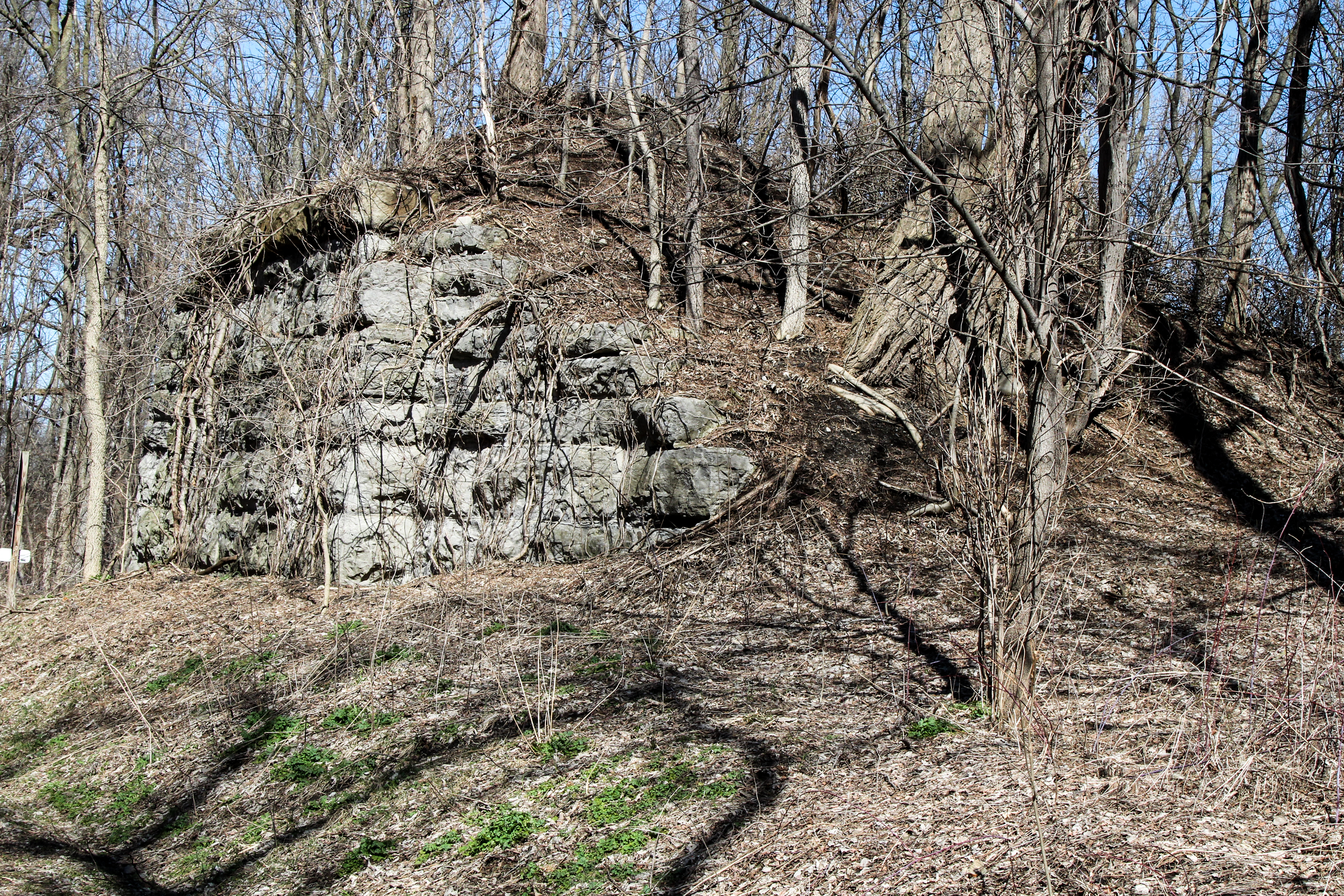 slideshow image