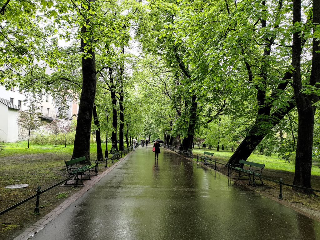 slideshow image