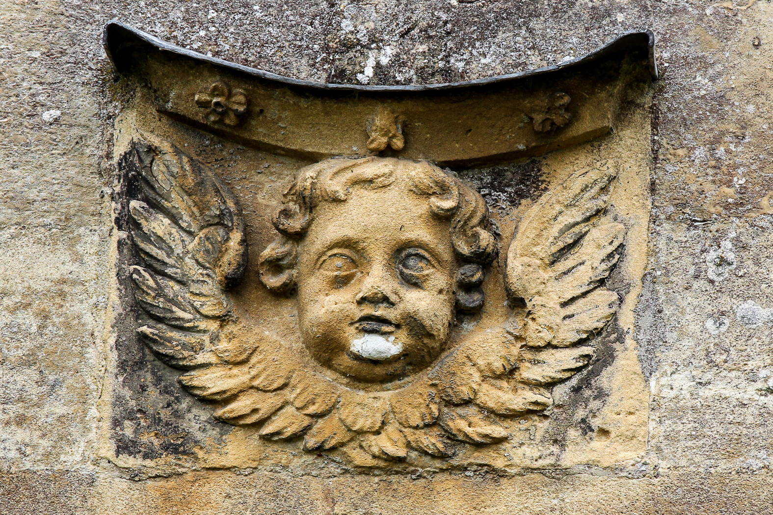 slideshow image
