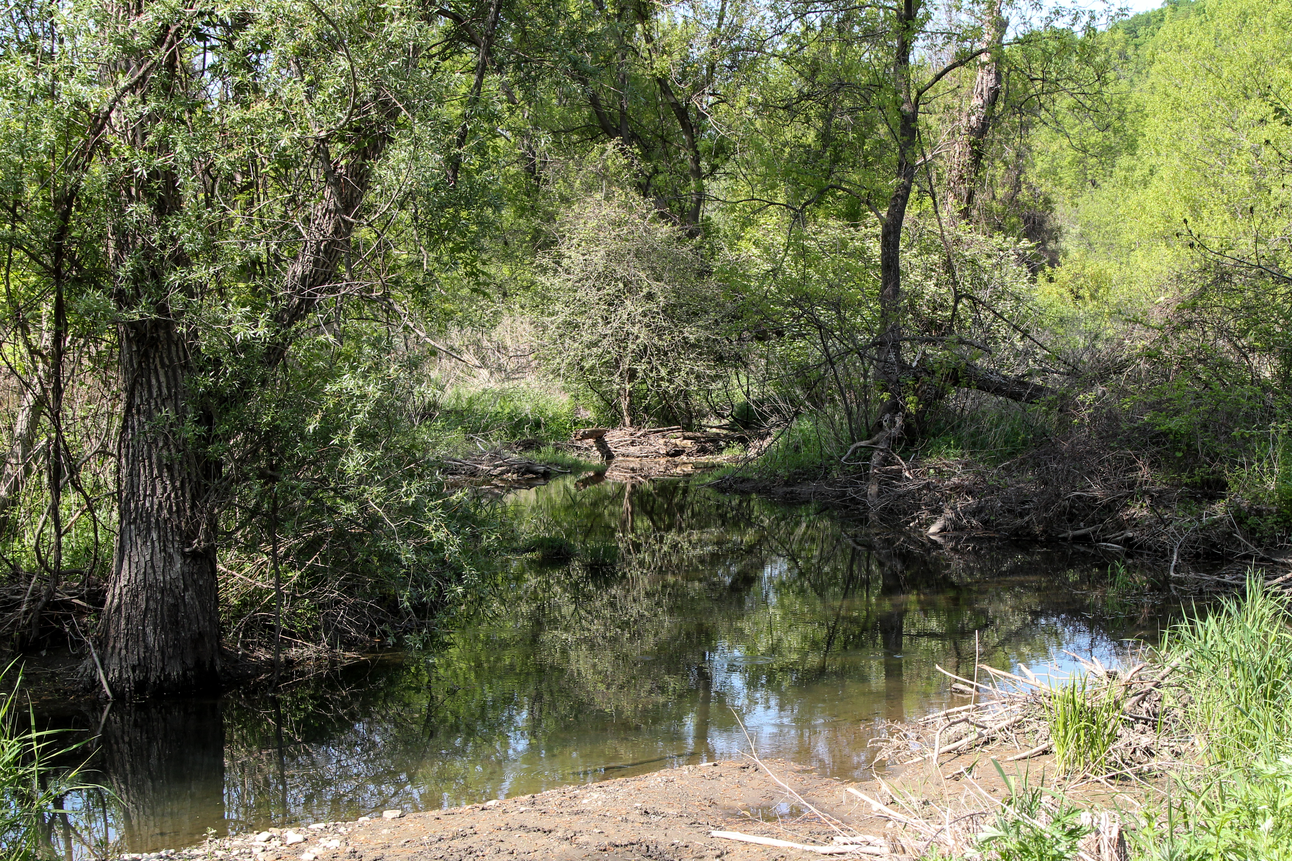 slideshow image